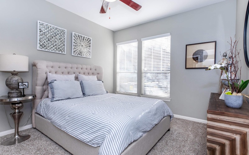 Apartment Features