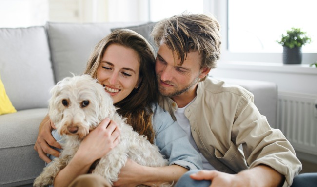 Pet-Friendly Community